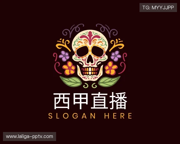 关于西甲直播官方网站